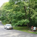 Picnic Areas